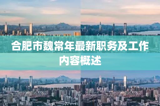 合肥市魏常年最新職務(wù)及工作內(nèi)容概述