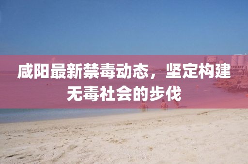 咸陽(yáng)最新禁毒動(dòng)態(tài)，堅(jiān)定構(gòu)建無(wú)毒社會(huì)的步伐