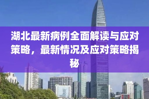 湖北最新病例全面解讀與應(yīng)對策略，最新情況及應(yīng)對策略揭秘