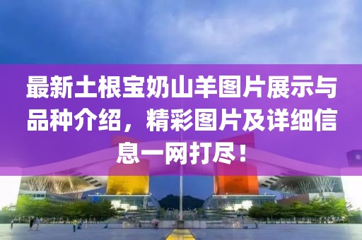 最新土根寶奶山羊圖片展示與品種介紹，精彩圖片及詳細信息一網(wǎng)打盡！