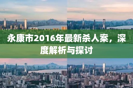永康市2016年最新殺人案，深度解析與探討