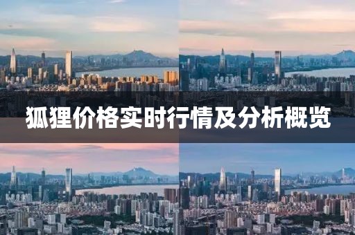 狐貍價(jià)格實(shí)時(shí)行情及分析概覽