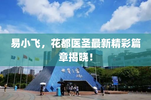 易小飛，花都醫(yī)圣最新精彩篇章揭曉！