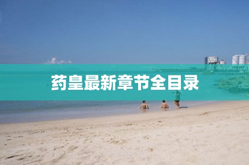 藥皇最新章節(jié)全目錄