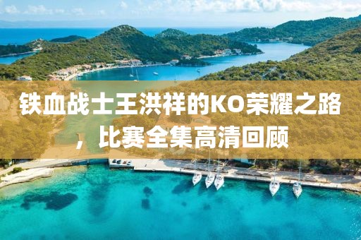 鐵血戰(zhàn)士王洪祥的KO榮耀之路，比賽全集高清回顧