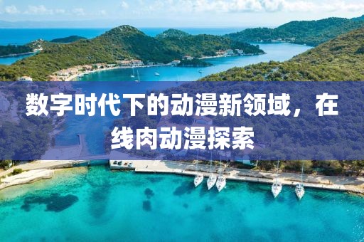 數(shù)字時(shí)代下的動(dòng)漫新領(lǐng)域，在線肉動(dòng)漫探索