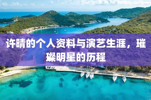 許晴的個(gè)人資料與演藝生涯，璀璨明星的歷程