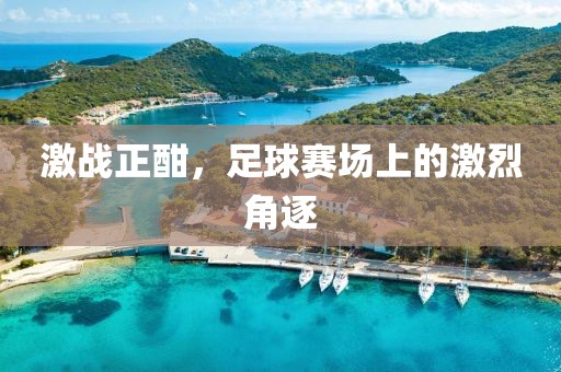 激戰(zhàn)正酣，足球賽場上的激烈角逐