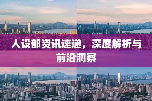 人設部資訊速遞，深度解析與前沿洞察