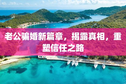 老公騙婚新篇章，揭露真相，重塑信任之路