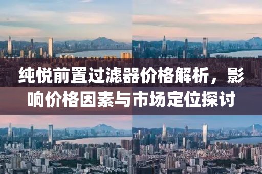 純悅前置過濾器價(jià)格解析，影響價(jià)格因素與市場(chǎng)定位探討
