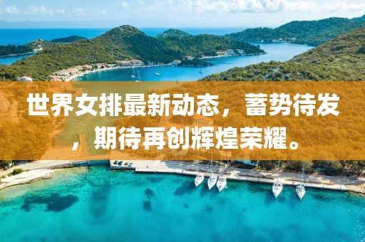 世界女排最新動態(tài)，蓄勢待發(fā)，期待再創(chuàng)輝煌榮耀。