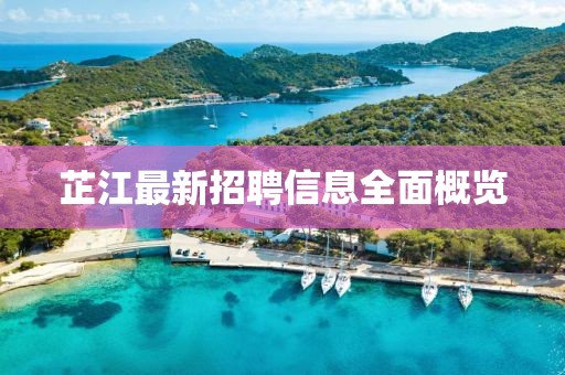 芷江最新招聘信息全面概覽