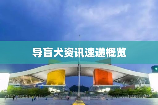 導(dǎo)盲犬資訊速遞概覽