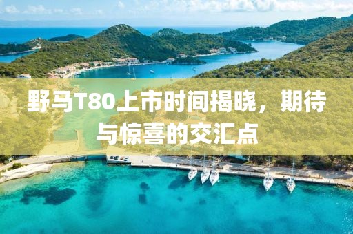 野馬T80上市時間揭曉，期待與驚喜的交匯點