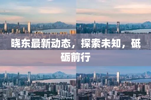曉東最新動態(tài)，探索未知，砥礪前行