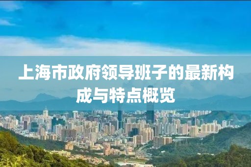 上海市政府領導班子的最新構(gòu)成與特點概覽
