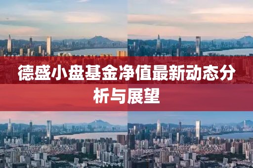 德盛小盤基金凈值最新動態(tài)分析與展望