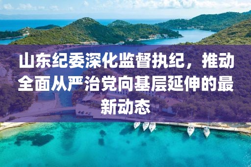 山東紀委深化監(jiān)督執(zhí)紀，推動全面從嚴治黨向基層延伸的最新動態(tài)