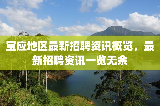 寶應(yīng)地區(qū)最新招聘資訊概覽，最新招聘資訊一覽無(wú)余
