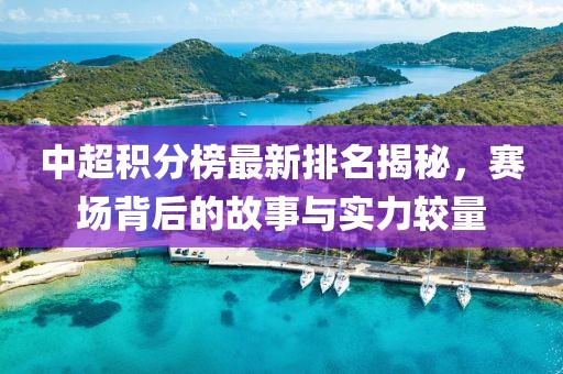 中超積分榜最新排名揭秘，賽場背后的故事與實力較量