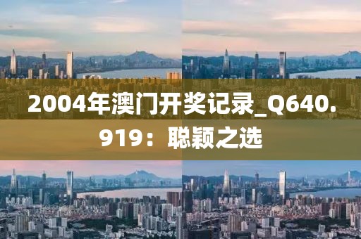 2004年澳門開獎記錄_Q640.919：聰穎之選