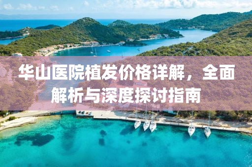 華山醫(yī)院植發(fā)價格詳解，全面解析與深度探討指南