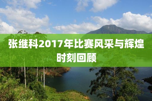 張繼科2017年比賽風(fēng)采與輝煌時刻回顧
