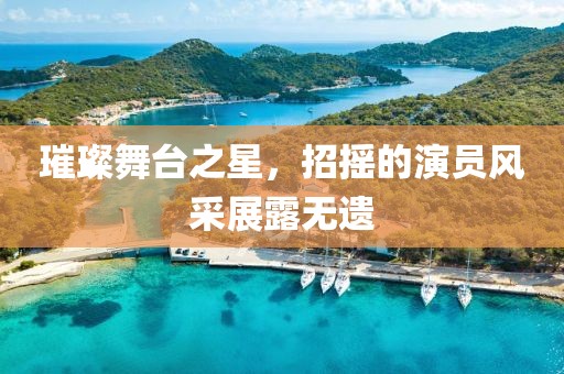 璀璨舞臺之星，招搖的演員風(fēng)采展露無遺