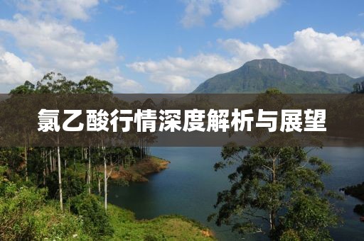氯乙酸行情深度解析與展望