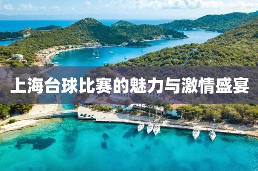 上海臺球比賽的魅力與激情盛宴
