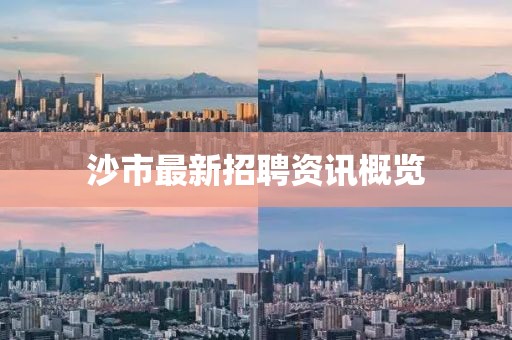 沙市最新招聘資訊概覽