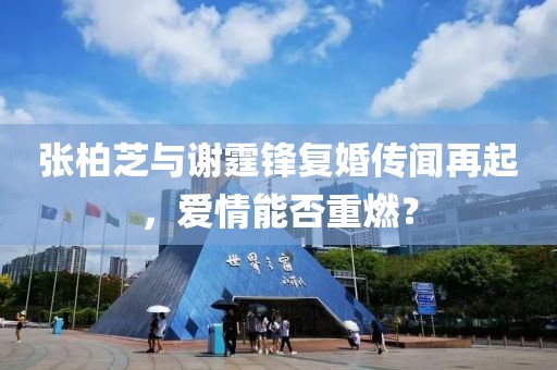 張柏芝與謝霆鋒復(fù)婚傳聞再起，愛情能否重燃？