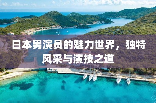 日本男演員的魅力世界，獨(dú)特風(fēng)采與演技之道