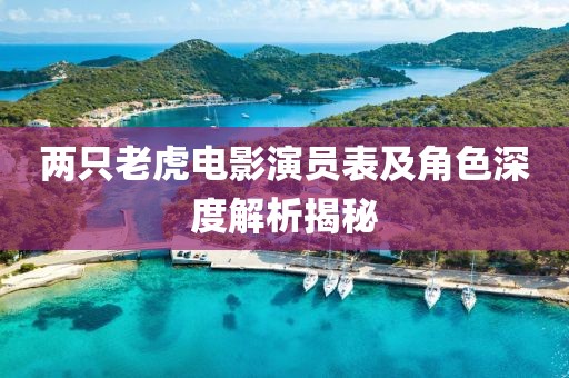 兩只老虎電影演員表及角色深度解析揭秘
