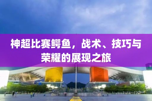 神超比賽鱷魚，戰(zhàn)術(shù)、技巧與榮耀的展現(xiàn)之旅