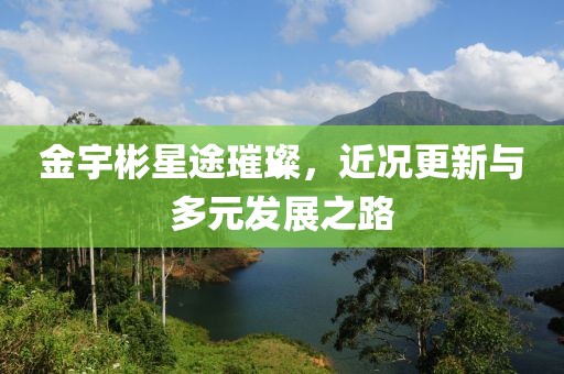 金宇彬星途璀璨，近況更新與多元發(fā)展之路