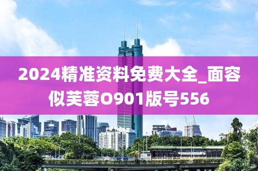 2024精準資料免費大全_面容似芙蓉O901版號556