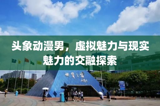 頭象動(dòng)漫男，虛擬魅力與現(xiàn)實(shí)魅力的交融探索