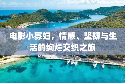 電影小寡婦，情感、堅韌與生活的絢爛交織之旅
