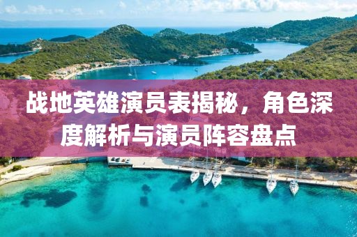 戰(zhàn)地英雄演員表揭秘，角色深度解析與演員陣容盤點(diǎn)