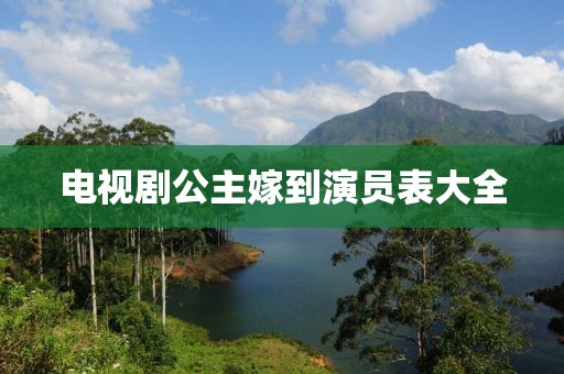 電視劇公主嫁到演員表大全