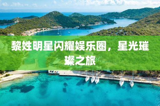 黎姓明星閃耀娛樂圈，星光璀璨之旅