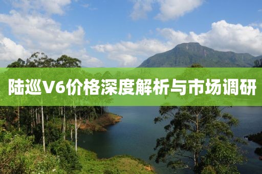 陸巡V6價格深度解析與市場調(diào)研
