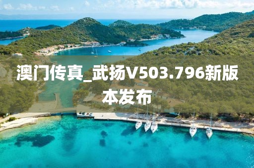 澳門傳真_武揚(yáng)V503.796新版本發(fā)布
