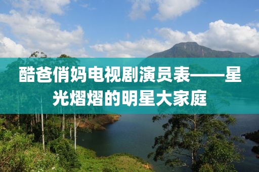 酷爸俏媽電視劇演員表——星光熠熠的明星大家庭