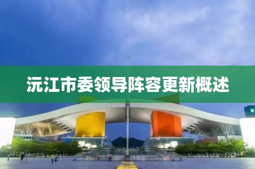 沅江市委領(lǐng)導(dǎo)陣容更新概述