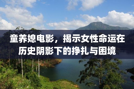 童養(yǎng)媳電影，揭示女性命運在歷史陰影下的掙扎與困境
