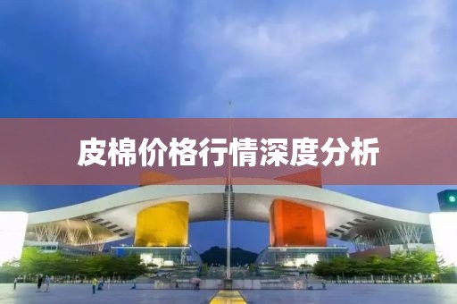 皮棉價格行情深度分析