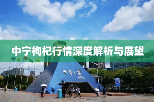 中寧枸杞行情深度解析與展望